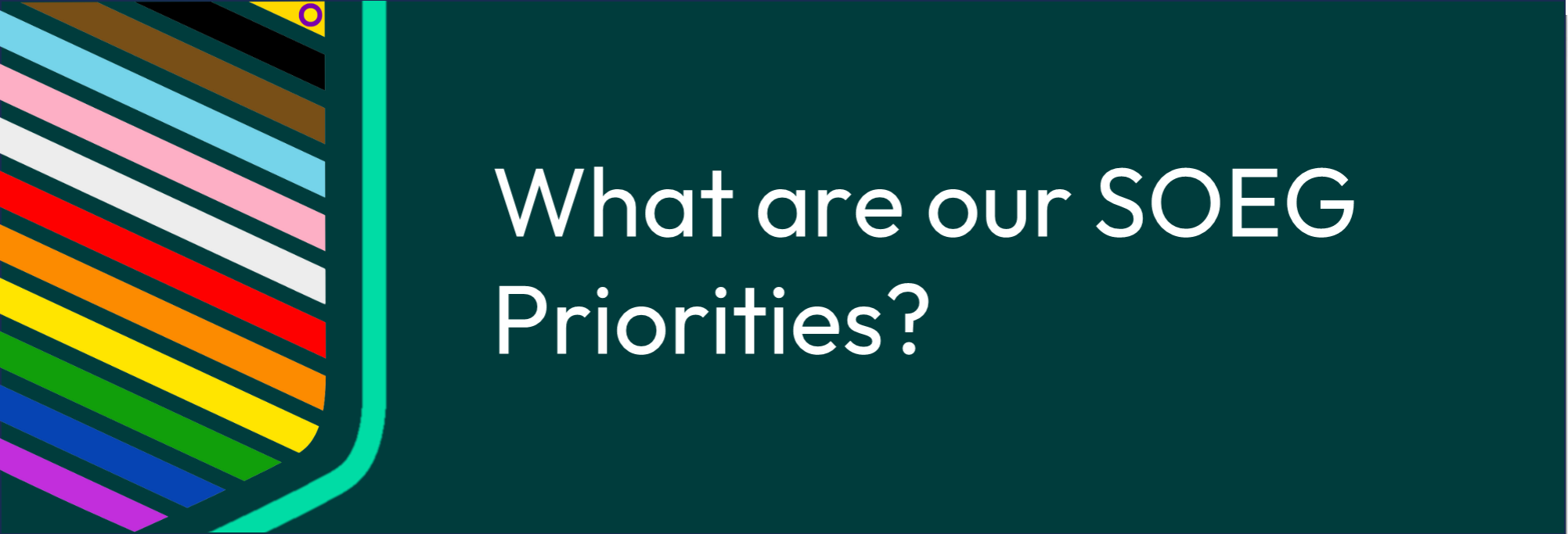 SOEG - what are our priorities banner

